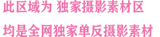 （极品活动）素材打包合集
