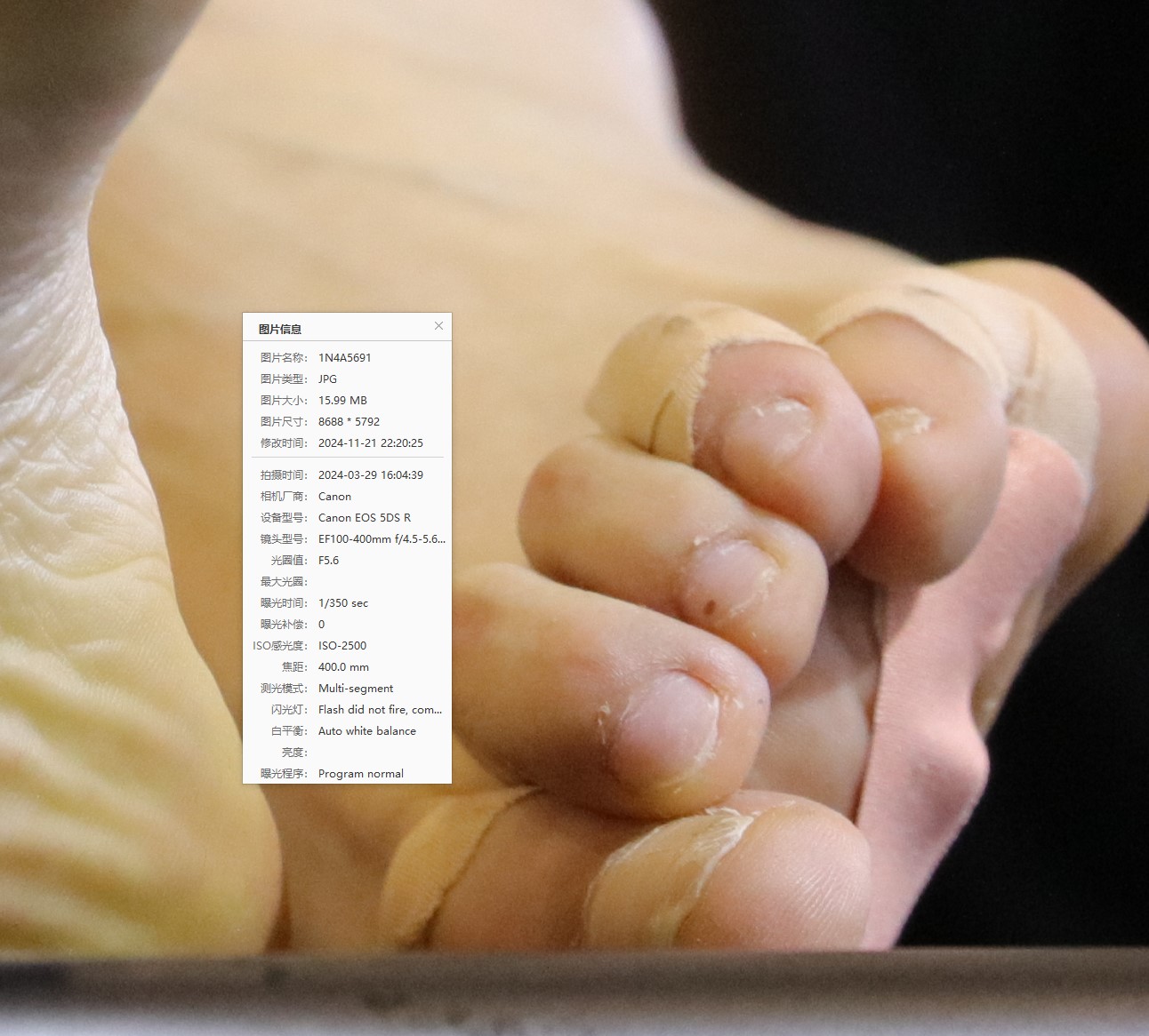 预览 (1).jpg