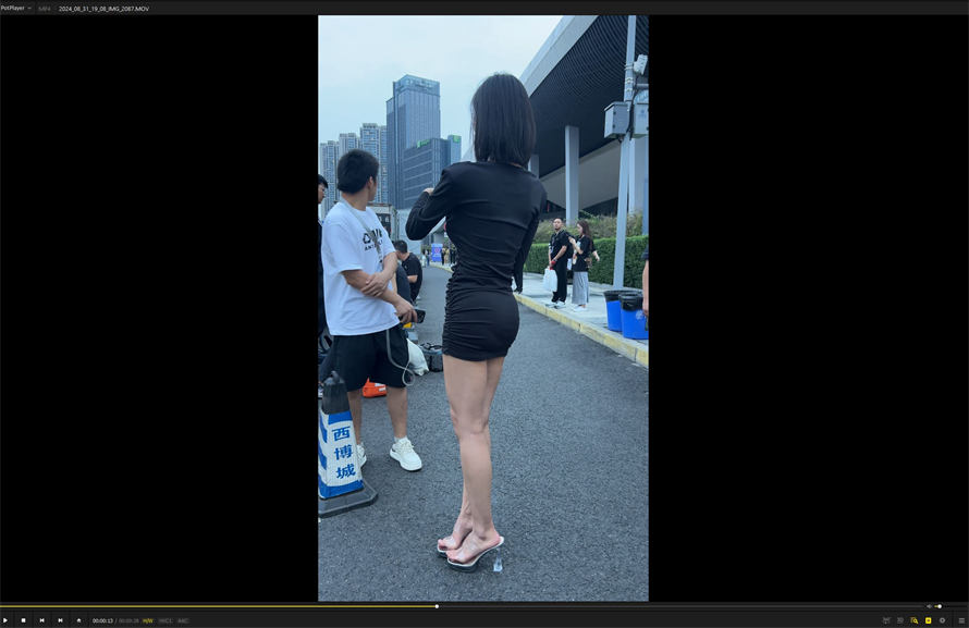 预览 (9).JPG