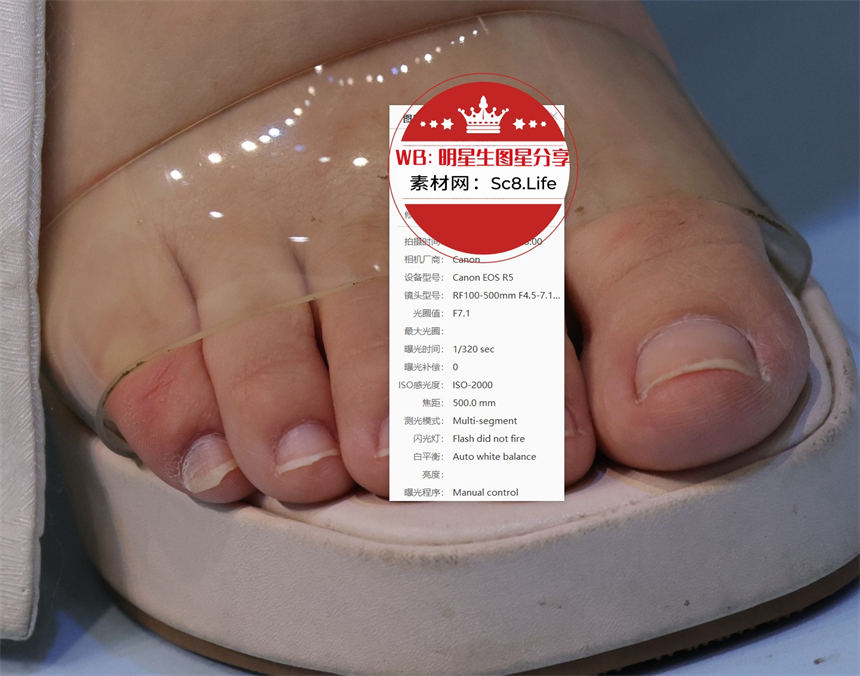 预览 (7).jpg