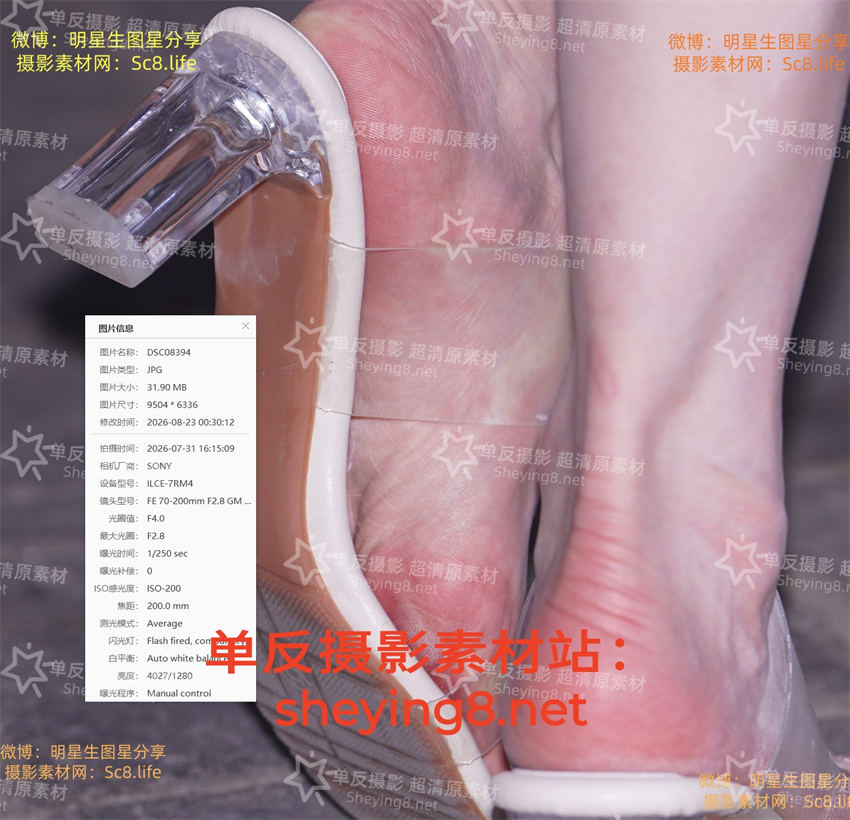 预览 (2).jpg