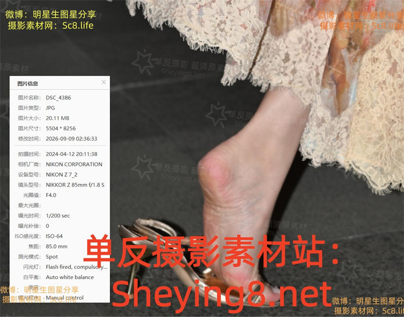 预览 (2).jpg