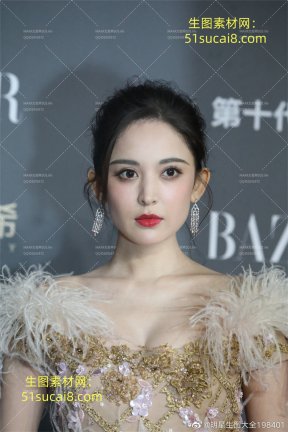 29娜扎 芭莎红毯 抹胸装长裙超近距离 190P